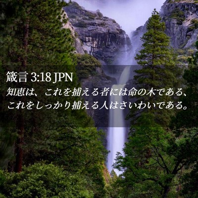 Picture 02 - 箴言 3:18 JPN - 知恵は、これを捕える者には命の木 - Bible Verse Picture