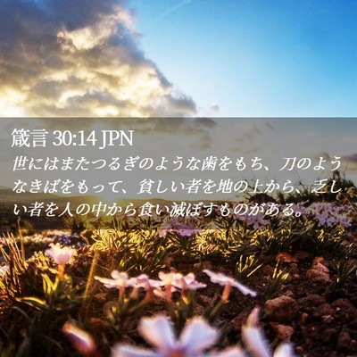 Picture 02 - 箴言 30:14 JPN - 世にはまたつるぎのような歯をもち - Bible Verse Picture