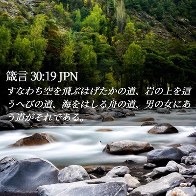 Picture 02 - 箴言 30:19 JPN - すなわち空を飛ぶはげたかの道、岩 - Bible Verse Picture
