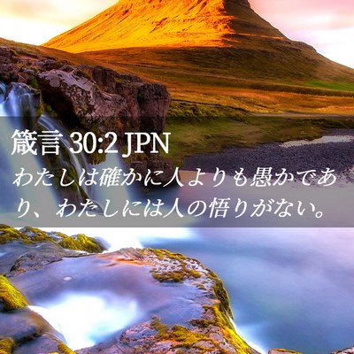 Picture 02 - 箴言 30:2 JPN - わたしは確かに人よりも愚かであり - Bible Verse Picture