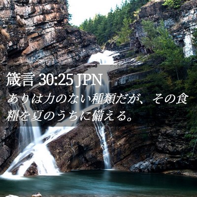Picture 02 - 箴言 30:25 JPN - ありは力のない種類だが、その食糧 - Bible Verse Picture