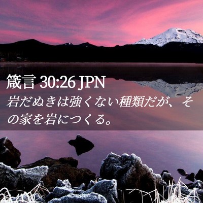 Picture 02 - 箴言 30:26 JPN - 岩だぬきは強くない種類だが、その - Bible Verse Picture