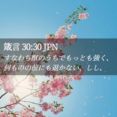 Picture 02 - 箴言 30:30 JPN - すなわち獣のうちでもっとも強く、 - Bible Verse Picture