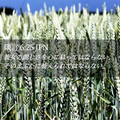 Picture 02 - 箴言 6:25 JPN - 彼女の麗しさを心に慕ってはならな - Bible Verse Picture