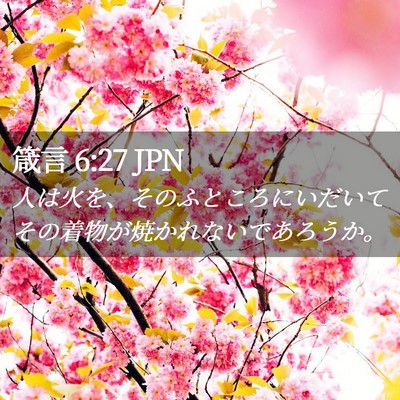 Picture 02 - 箴言 6:27 JPN - 人は火を、そのふところにいだいて - Bible Verse Picture
