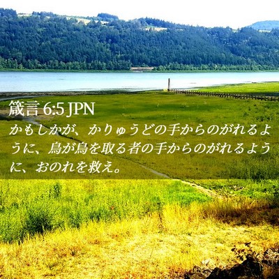 Picture 02 - 箴言 6:5 JPN - かもしかが、かりゅうどの手からの - Bible Verse Picture