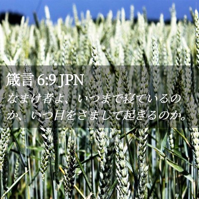 Picture 02 - 箴言 6:9 JPN - なまけ者よ、いつまで寝ているのか - Bible Verse Picture