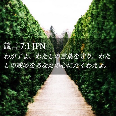 Picture 02 - 箴言 7:1 JPN - わが子よ、わたしの言葉を守り、わ - Bible Verse Picture
