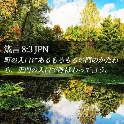 Picture 02 - 箴言 8:3 JPN - 町の入口にあるもろもろの門のかた - Bible Verse Picture