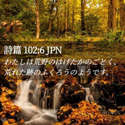 Picture 02 - 詩篇 102:6 JPN - わたしは荒野のはげたかのごとく、 - Bible Verse Picture