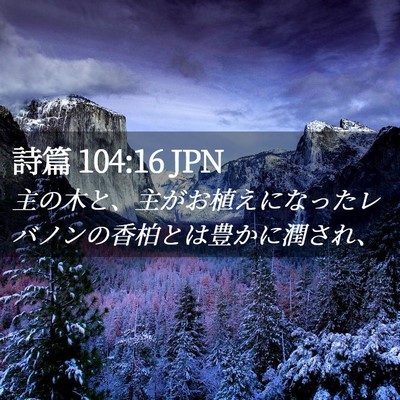 Picture 02 - 詩篇 104:16 JPN - 主の木と、主がお植えになったレバ - Bible Verse Picture