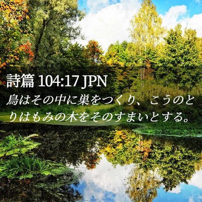 Picture 02 - 詩篇 104:17 JPN - 鳥はその中に巣をつくり、こうのと - Bible Verse Picture