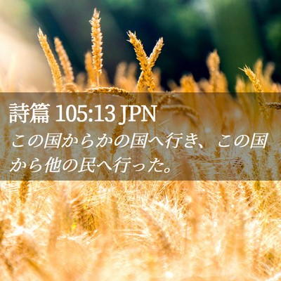 Picture 02 - 詩篇 105:13 JPN - この国からかの国へ行き、この国か - Bible Verse Picture