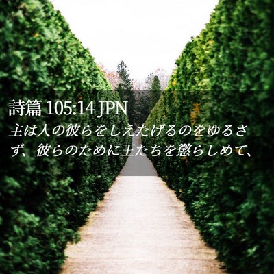 Picture 02 - 詩篇 105:14 JPN - 主は人の彼らをしえたげるのをゆる - Bible Verse Picture