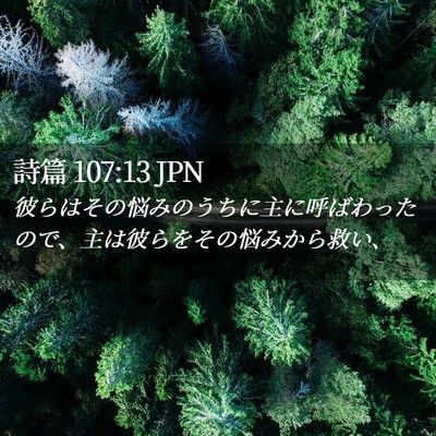 Picture 02 - 詩篇 107:13 JPN - 彼らはその悩みのうちに主に呼ばわ - Bible Verse Picture