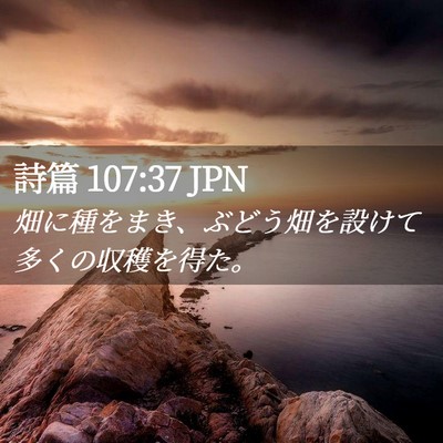 Picture 02 - 詩篇 107:37 JPN - 畑に種をまき、ぶどう畑を設けて多 - Bible Verse Picture