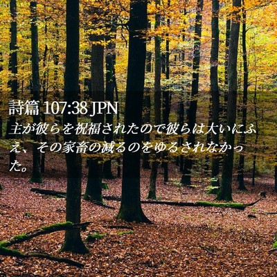 Picture 02 - 詩篇 107:38 JPN - 主が彼らを祝福されたので彼らは大 - Bible Verse Picture