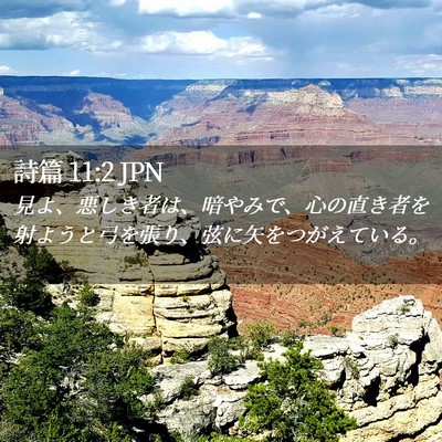 Picture 02 - 詩篇 11:2 JPN - 見よ、悪しき者は、暗やみで、心の - Bible Verse Picture