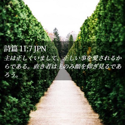 Picture 02 - 詩篇 11:7 JPN - 主は正しくいまして、正しい事を愛 - Bible Verse Picture