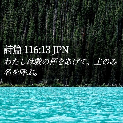 Picture 02 - 詩篇 116:13 JPN - わたしは救の杯をあげて、主のみ名 - Bible Verse Picture
