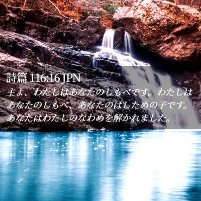 Picture 02 - 詩篇 116:16 JPN - 主よ、わたしはあなたのしもべです - Bible Verse Picture