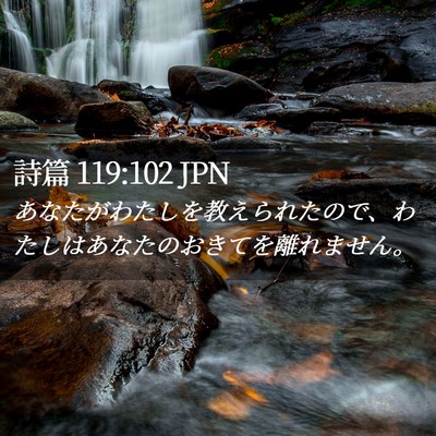 Picture 02 - 詩篇 119:102 JPN - あなたがわたしを教えられたので、 - Bible Verse Picture