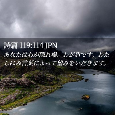 Picture 02 - 詩篇 119:114 JPN - あなたはわが隠れ場、わが盾です。 - Bible Verse Picture