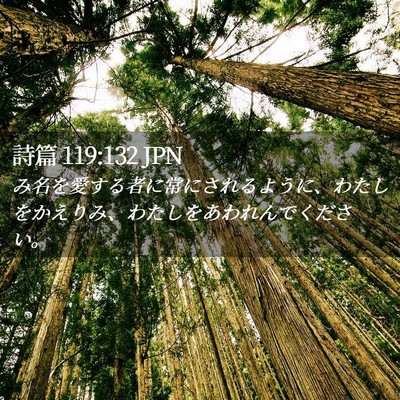 Picture 02 - 詩篇 119:132 JPN - み名を愛する者に常にされるように - Bible Verse Picture