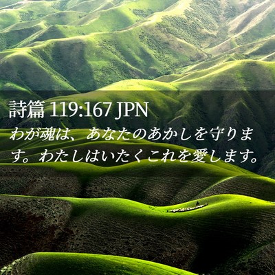Picture 02 - 詩篇 119:167 JPN - わが魂は、あなたのあかしを守りま - Bible Verse Picture