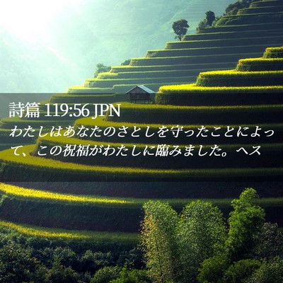 Picture 02 - 詩篇 119:56 JPN - わたしはあなたのさとしを守ったこ - Bible Verse Picture