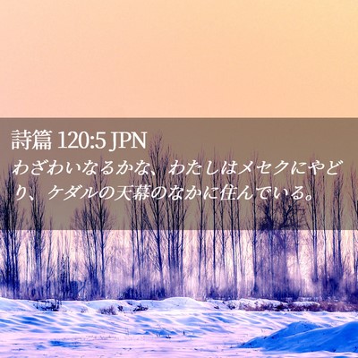 Picture 02 - 詩篇 120:5 JPN - わざわいなるかな、わたしはメセク - Bible Verse Picture