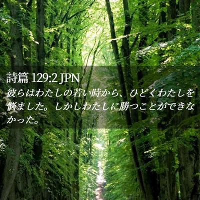 Picture 02 - 詩篇 129:2 JPN - 彼らはわたしの若い時から、ひどく - Bible Verse Picture