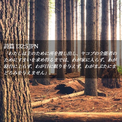 Picture 02 - 詩篇 132:5 JPN - 「わたしは主のために所を捜し出し - Bible Verse Picture