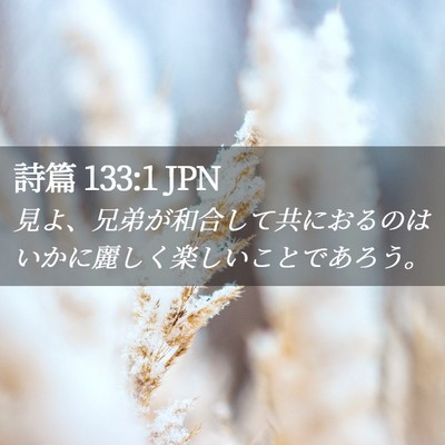Picture 02 - 詩篇 133:1 JPN - 見よ、兄弟が和合して共におるのは - Bible Verse Picture