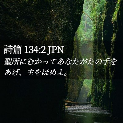 Picture 02 - 詩篇 134:2 JPN - 聖所にむかってあなたがたの手をあ - Bible Verse Picture