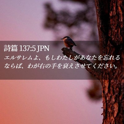 Picture 02 - 詩篇 137:5 JPN - エルサレムよ、もしわたしがあなた - Bible Verse Picture