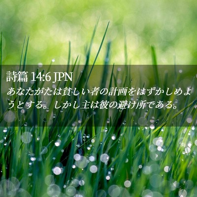 Picture 02 - 詩篇 14:6 JPN - あなたがたは貧しい者の計画をはず - Bible Verse Picture
