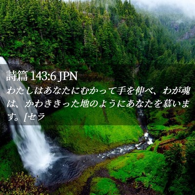Picture 02 - 詩篇 143:6 JPN - わたしはあなたにむかって手を伸べ - Bible Verse Picture