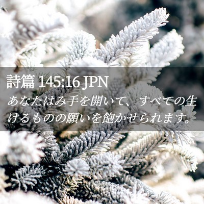 Picture 02 - 詩篇 145:16 JPN - あなたはみ手を開いて、すべての生 - Bible Verse Picture