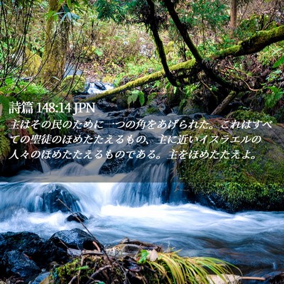 Picture 02 - 詩篇 148:14 JPN - 主はその民のために一つの角をあげ - Bible Verse Picture