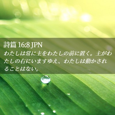 Picture 02 - 詩篇 16:8 JPN - わたしは常に主をわたしの前に置く - Bible Verse Picture