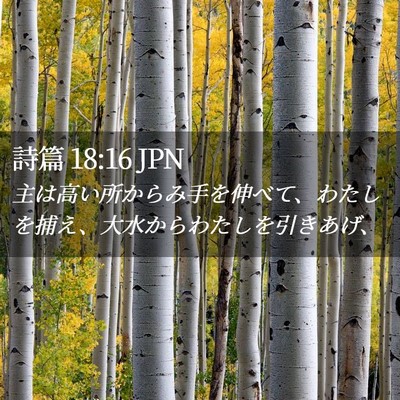 Picture 02 - 詩篇 18:16 JPN - 主は高い所からみ手を伸べて、わた - Bible Verse Picture