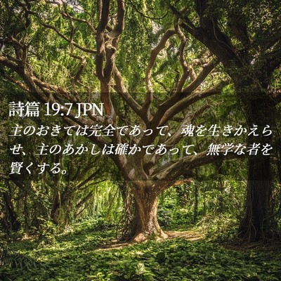 Picture 02 - 詩篇 19:7 JPN - 主のおきては完全であって、魂を生 - Bible Verse Picture