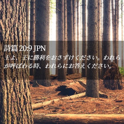 Picture 02 - 詩篇 20:9 JPN - 主よ、王に勝利をおさずけください - Bible Verse Picture