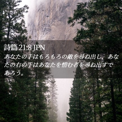 Picture 02 - 詩篇 21:8 JPN - あなたの手はもろもろの敵を尋ね出 - Bible Verse Picture