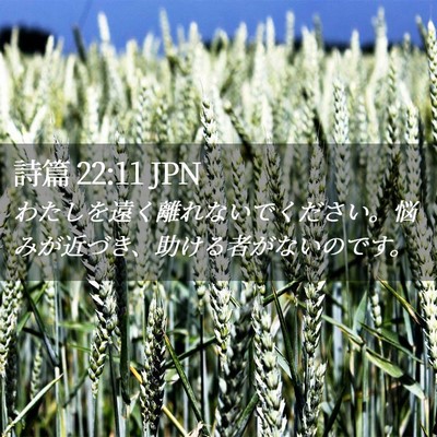 Picture 02 - 詩篇 22:11 JPN - わたしを遠く離れないでください。 - Bible Verse Picture