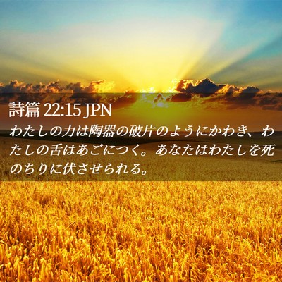 Picture 02 - 詩篇 22:15 JPN - わたしの力は陶器の破片のようにか - Bible Verse Picture
