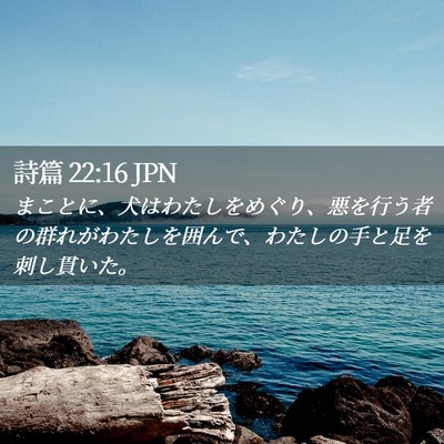 Picture 02 - 詩篇 22:16 JPN - まことに、犬はわたしをめぐり、悪 - Bible Verse Picture