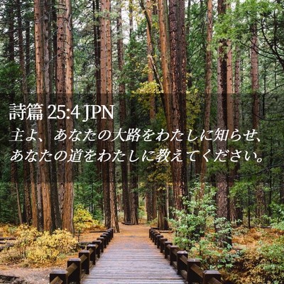 Picture 02 - 詩篇 25:4 JPN - 主よ、あなたの大路をわたしに知ら - Bible Verse Picture