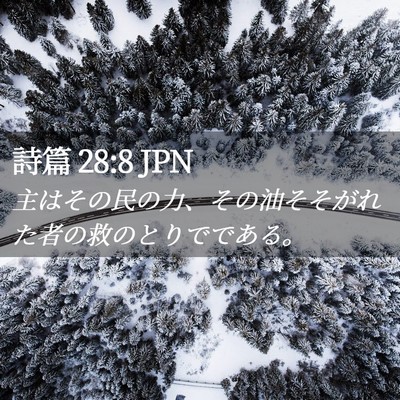 Picture 02 - 詩篇 28:8 JPN - 主はその民の力、その油そそがれた - Bible Verse Picture